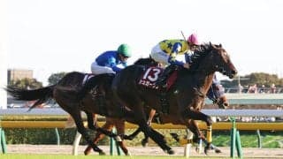 【富士Ｓ・レースメモ】５３２キロの巨漢シュガークン、同レースの最高馬体重Ｖ