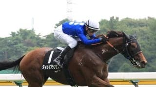 【１８日の注目・東京１２Ｒ】重賞戦線をにぎわせた馬が大量出走…最終レースを勝って終わるのはどの馬？