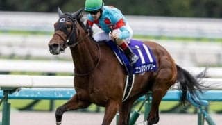 秋華賞はノーザンファームが好相性 上がり最速馬も好成績