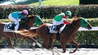 【東京４Ｒ・２歳新馬】横山武史騎手が「新馬戦としては言うことない」と絶賛　ファクスカエリが末脚伸ばして初陣Ｖ　
