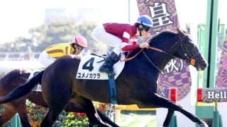 【東京５Ｒ・２歳新馬】津村明秀騎手が「エンジンがかかってから…」とうなる　ユメノカケラが断然人気に応える
