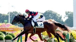 【京都５Ｒ・２歳新馬】１番人気ビンドゥングが鋭く伸びてＶ　戸崎圭太騎手「最後は切れがありました」