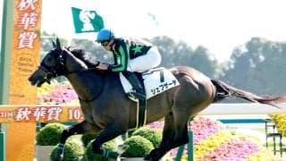 【京都６Ｒ・２歳新馬】１番人気シェフザーデが好位から抜け出し完勝　岩田望来騎手「いい形で終えられました」