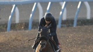 日曜京都競馬場の注目激走馬…京都１１Ｒ秋華賞・Ｇ１