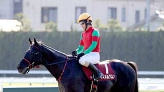 【東京ハイジャンプ】２３年最優秀障害馬のマイネルグロンが意地の２着　五十嵐騎手「１００点満点のレースでした」