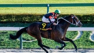【ブラジルC結果】2番人気クールミラボーが内から抜け出してV