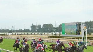 【新潟牝馬S結果】シャドウメテオが大外一気を決めて2連勝