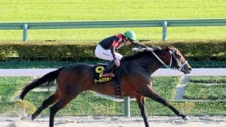 【ブラジルＣ】この日４勝と絶好調の横山武史騎手がクールミラボーをＶへ導く　「狙ったところを取れました」