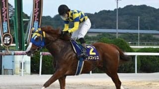 【佐賀オータムスプリント結果】7番人気アメストリスが突き抜け4馬身差V