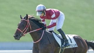 【新馬/京都5R】フォーエバーヤング半弟ヤングリッチはデビュー戦3着…1番人気ビンドゥングが初陣V
