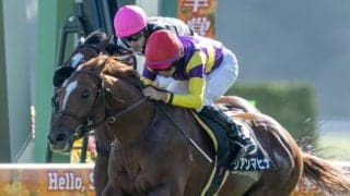 【宝ケ池特別】モズアスコット産駒リアンマヒナが連勝！岩田望来の好騎乗で接戦制す
