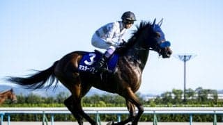 【秋華賞】「来年は楽しみ」武豊騎手と新コンビのマスターソアラは8着