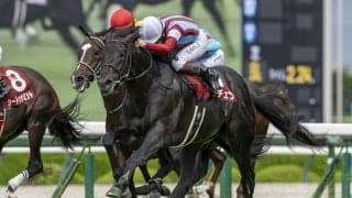 【菊花賞登録馬】三冠がかかったロブチェンなど21頭