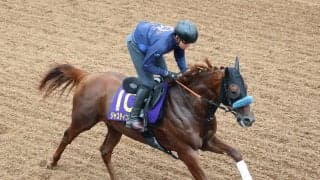 【菊花賞・高野の特注馬】豊富なスタミナが武器のジャスティンシカゴ　淀の長丁場で初Ｇ１取りへ虎視たんたん