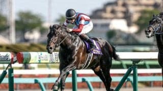 【菊花賞見どころ】クラシック三冠に向けてロブチェンの視界は良好