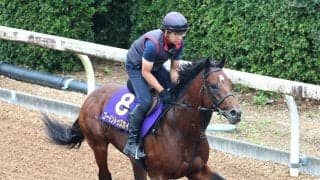 【菊花賞・浅子の特注馬】武豊騎手の進言が何よりの買い材料　意味ある前哨戦が本番につながる