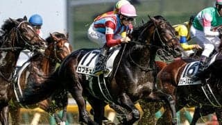 【菊花賞想定騎手】ロブチェンは松山弘平騎手、ダノンヒストリーはC.ルメール騎手