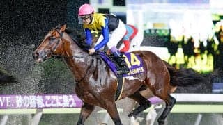 【先週のJRA抹消馬】ジャパンダートダービー覇者ノットゥルノ、雲取賞覇者ブルーサンなど