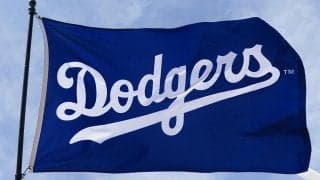 ドジャースの控え捕手ロートベットがFA　マイナー再契約の可能性も