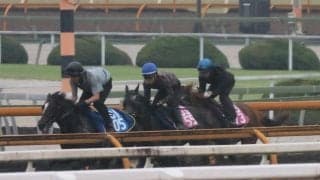 クロノジェネシスの2番仔ノイエルング 京都で初陣へ/関西馬メイクデビュー情報
