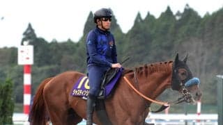 【菊花賞】ジャスティンシカゴはセントライト記念からさらに状態アップ　宮田調教師も「素晴らしい馬体」と手応え