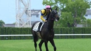 【AI予想・菊花賞】人工知能は三冠達成ならずを示唆!? 長距離適性が光る本命候補とは