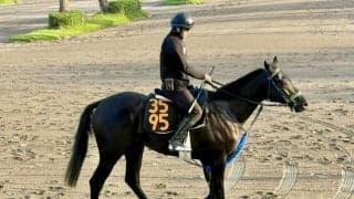 母は米G3勝ち馬 プレイヤが土曜東京で初陣/関東馬メイクデビュー情報