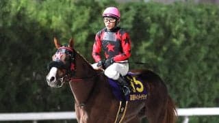 【注目馬動向】イッテラッシャイは浦和記念を視野　ジャパンダートクラシック１６着からの反撃へ