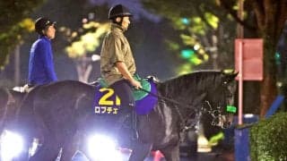 【菊花賞】「人馬一体」杉山晴紀調教師×松山弘平騎手×ロブチェン ３冠へ死角なし