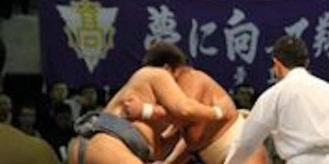 相撲 競技ガイド