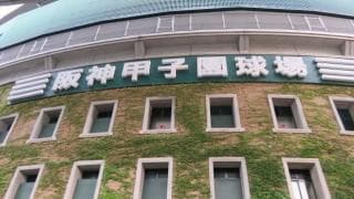 千葉大会が3日連続で雨天順延、第103回全国高校野球選手権